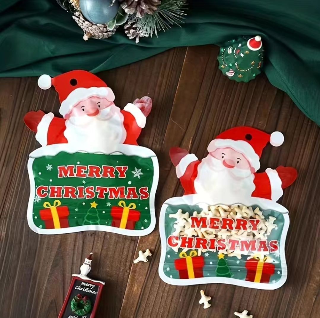 Santa Ziplock 6x7in