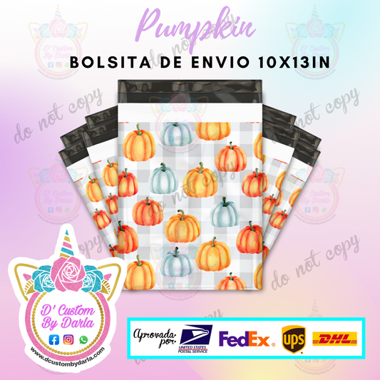 Paquete de 100 bolsas de envio 10x13in)