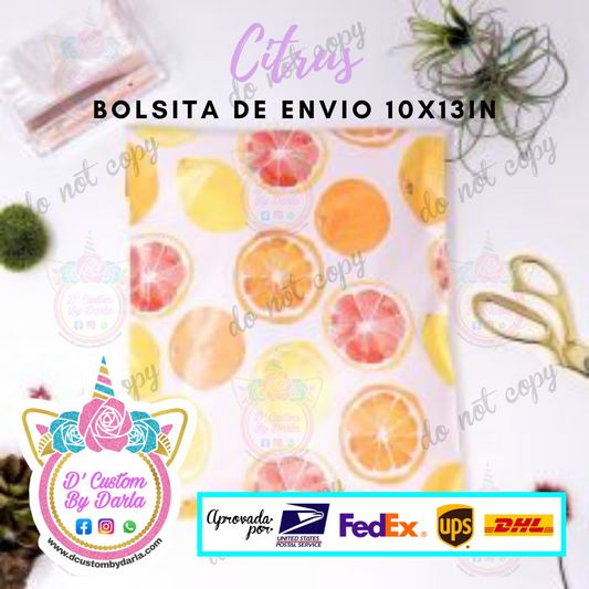 Paquete de 100 bolsas de envio 10x13in)